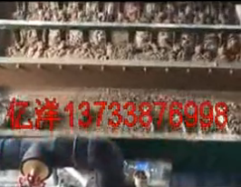 �|���ˮЧ��չʾ